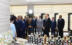 Prezident İlham Əliyev Balakəndə “ABAD Mərkəz”in açılışında iştirak edib (FOTO) (YENİLƏNİB)