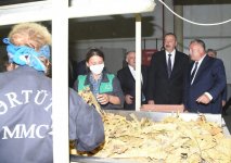 Azərbaycan Prezidenti Zaqatalada tütün emalı zavodunun fəaliyyəti ilə tanış olub (FOTO)