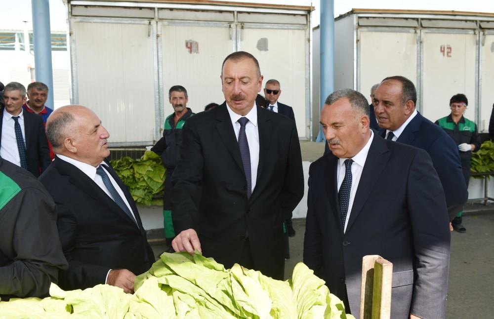 Prezident İlham Əliyev Qaxda tütün qəbulu məntəqəsində yaradılan şəraitlə tanış olub (FOTO)