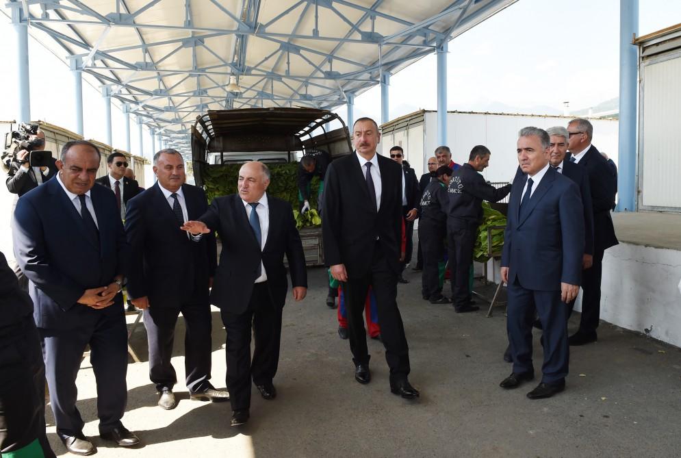 Prezident İlham Əliyev Qaxda tütün qəbulu məntəqəsində yaradılan şəraitlə tanış olub (FOTO)