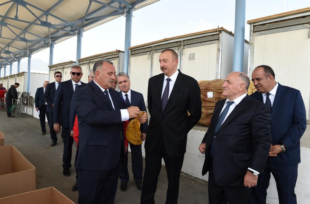 Prezident İlham Əliyev Qaxda tütün qəbulu məntəqəsində yaradılan şəraitlə tanış olub (FOTO)