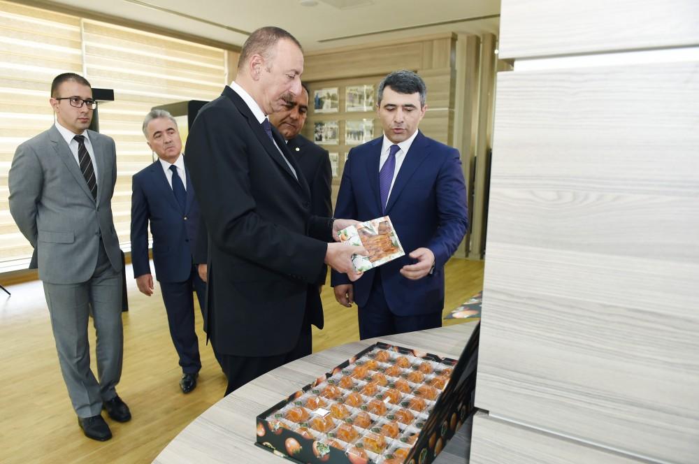 Prezident İlham Əliyev Balakəndə “ABAD Mərkəz”in açılışında iştirak edib (FOTO) (YENİLƏNİB)