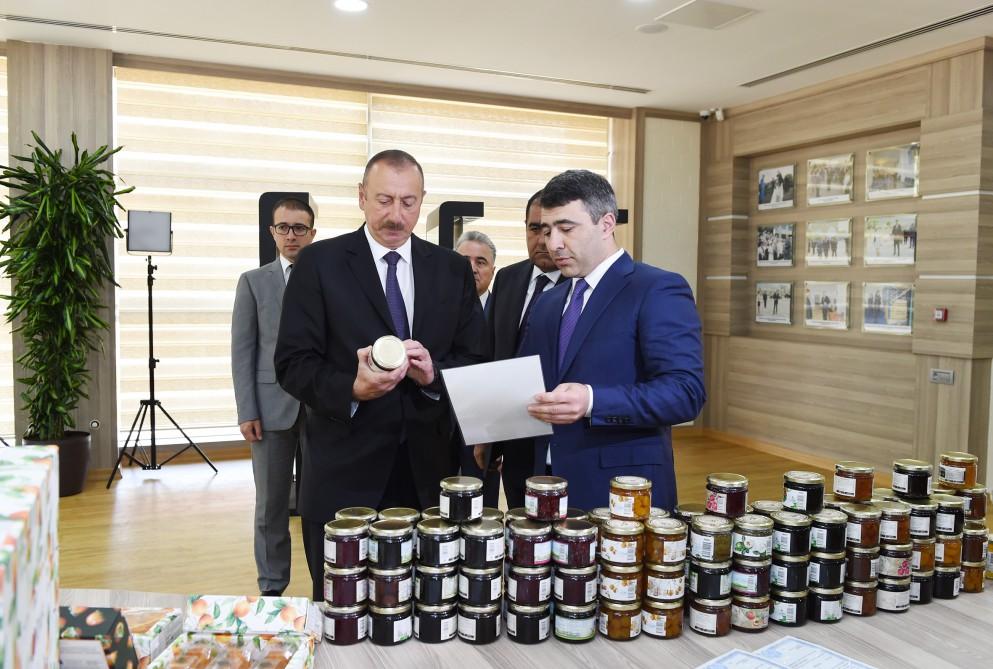 Prezident İlham Əliyev Balakəndə “ABAD Mərkəz”in açılışında iştirak edib (FOTO) (YENİLƏNİB)