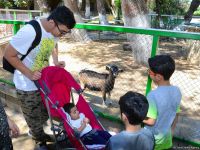 Turistlərin daha çox üz tutduğu məkanlardan biri Bakı Zooparkıdır (FOTO)