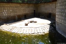 Turistlərin daha çox üz tutduğu məkanlardan biri Bakı Zooparkıdır (FOTO)
