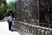 Turistlərin daha çox üz tutduğu məkanlardan biri Bakı Zooparkıdır (FOTO)