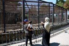 Turistlərin daha çox üz tutduğu məkanlardan biri Bakı Zooparkıdır (FOTO)