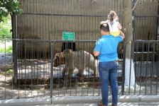Turistlərin daha çox üz tutduğu məkanlardan biri Bakı Zooparkıdır (FOTO)