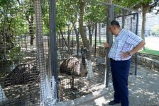 Turistlərin daha çox üz tutduğu məkanlardan biri Bakı Zooparkıdır (FOTO)