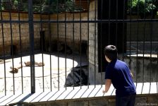 Turistlərin daha çox üz tutduğu məkanlardan biri Bakı Zooparkıdır (FOTO)