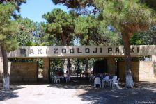 Turistlərin daha çox üz tutduğu məkanlardan biri Bakı Zooparkıdır (FOTO)