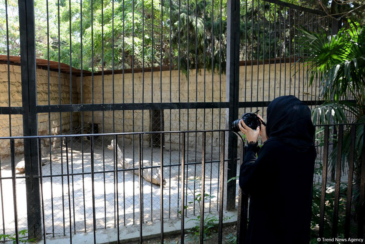 Turistlərin daha çox üz tutduğu məkanlardan biri Bakı Zooparkıdır (FOTO)