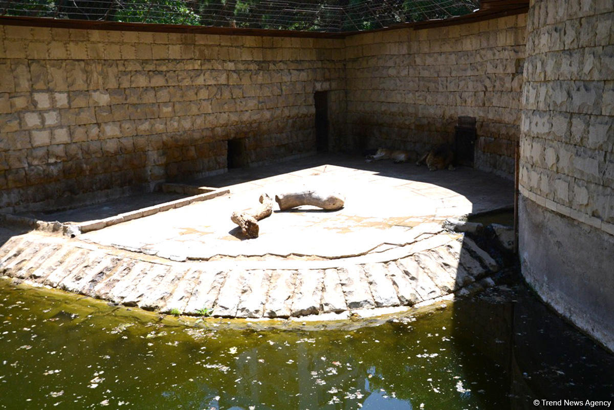 Turistlərin daha çox üz tutduğu məkanlardan biri Bakı Zooparkıdır (FOTO)