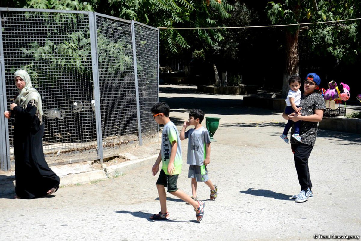 Turistlərin daha çox üz tutduğu məkanlardan biri Bakı Zooparkıdır (FOTO)