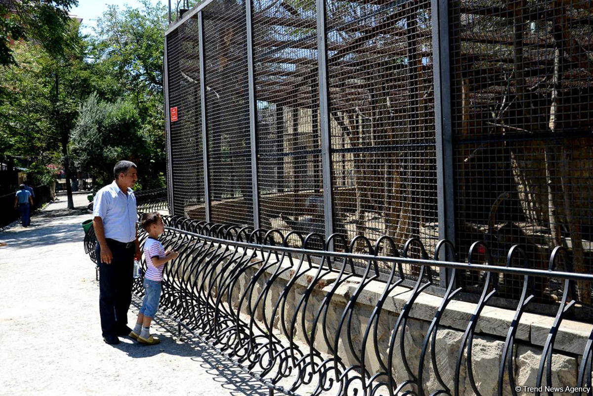 Turistlərin daha çox üz tutduğu məkanlardan biri Bakı Zooparkıdır (FOTO)