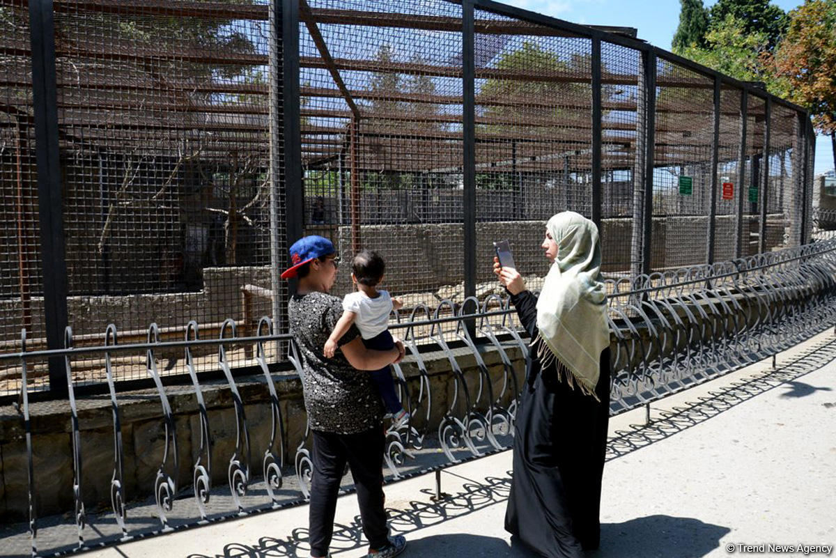 Turistlərin daha çox üz tutduğu məkanlardan biri Bakı Zooparkıdır (FOTO)
