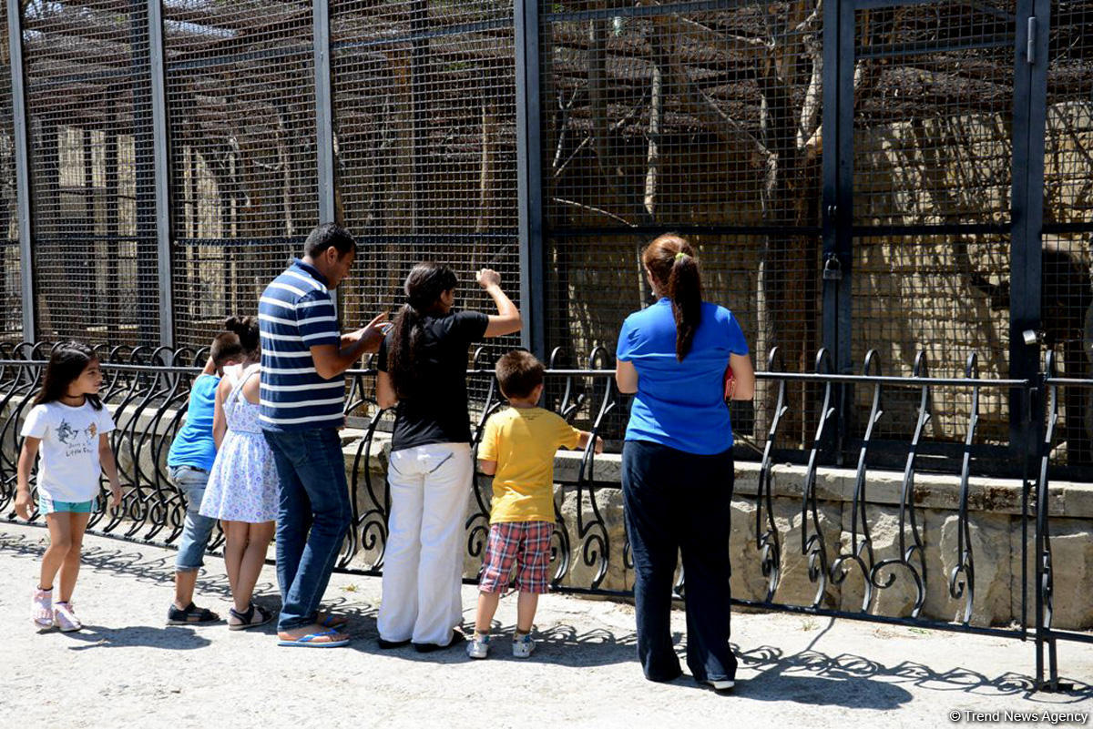Turistlərin daha çox üz tutduğu məkanlardan biri Bakı Zooparkıdır (FOTO)