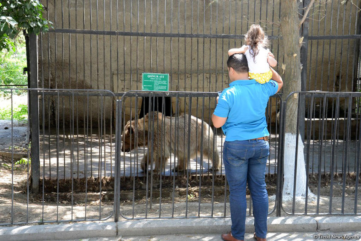 Turistlərin daha çox üz tutduğu məkanlardan biri Bakı Zooparkıdır (FOTO)