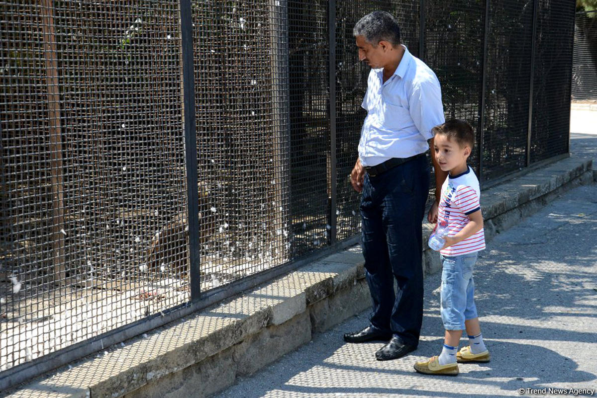 Turistlərin daha çox üz tutduğu məkanlardan biri Bakı Zooparkıdır (FOTO)