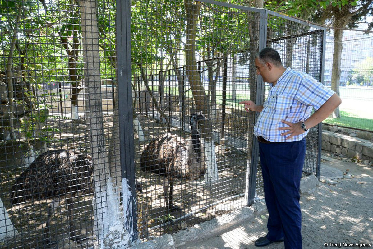 Turistlərin daha çox üz tutduğu məkanlardan biri Bakı Zooparkıdır (FOTO)