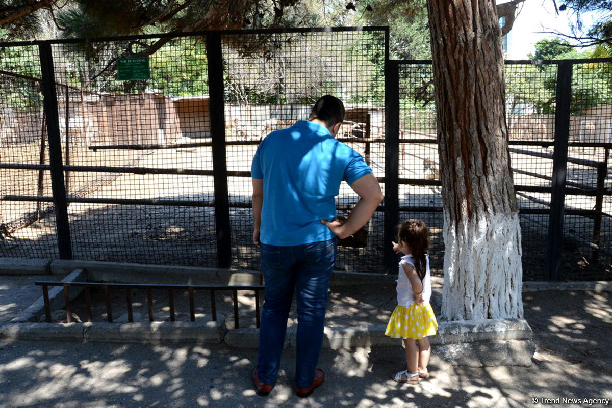 Turistlərin daha çox üz tutduğu məkanlardan biri Bakı Zooparkıdır (FOTO)