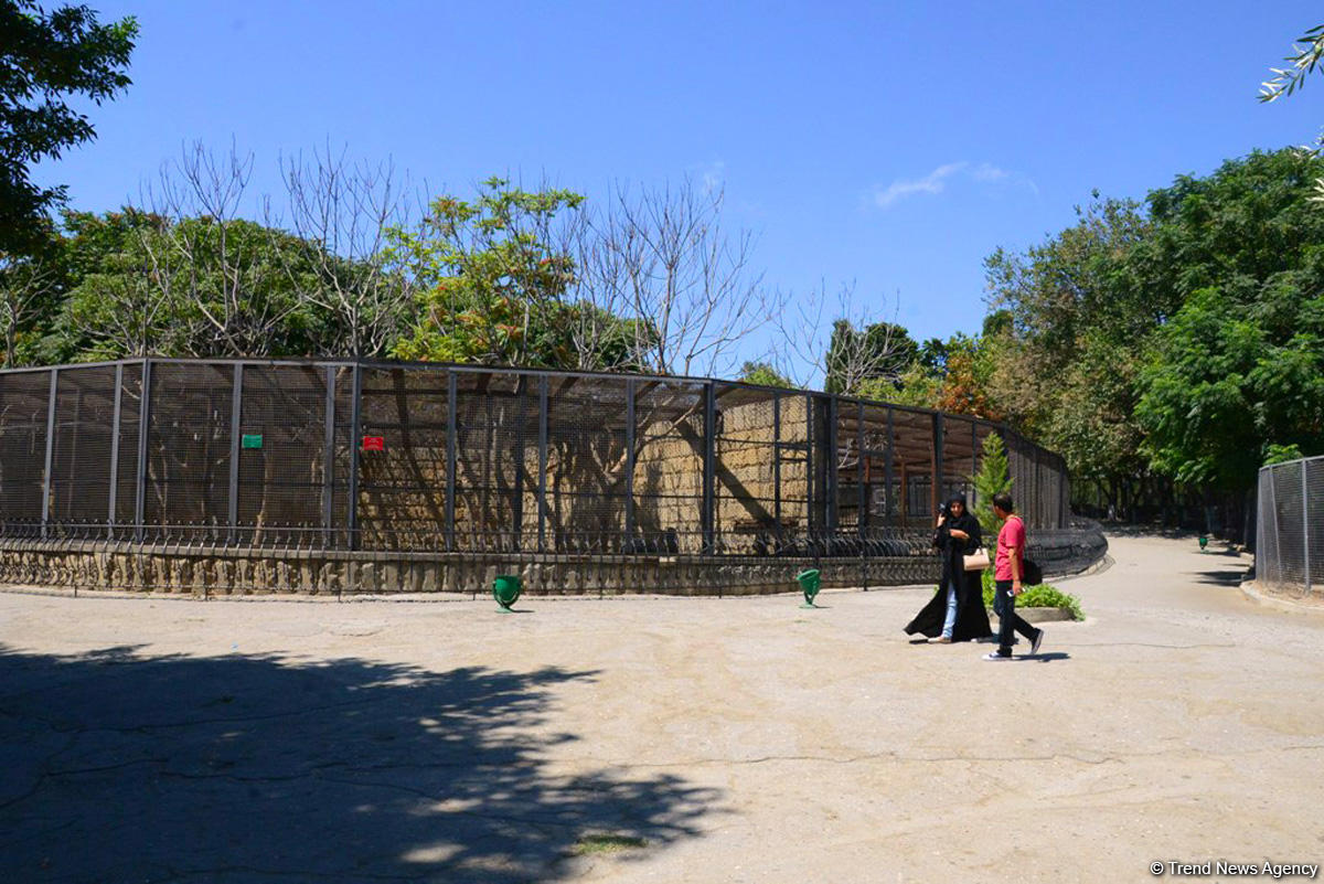 Turistlərin daha çox üz tutduğu məkanlardan biri Bakı Zooparkıdır (FOTO)