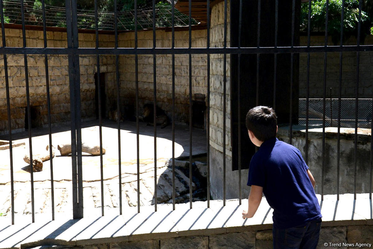 Turistlərin daha çox üz tutduğu məkanlardan biri Bakı Zooparkıdır (FOTO)