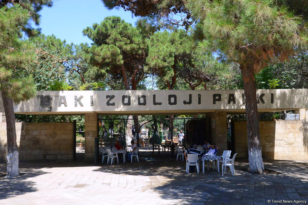 Turistlərin daha çox üz tutduğu məkanlardan biri Bakı Zooparkıdır (FOTO)