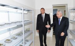 Prezident İlham Əliyev Göygöl Zona Baytarlıq Laboratoriyasında yaradılan şəraitlə tanış olub (FOTO)
 (Yenilənib)