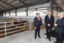 Prezident İlham Əliyev Respublika Süni Mayalanma Mərkəzinin açılışında iştirak edib (FOTO)