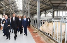 Prezident İlham Əliyev Respublika Süni Mayalanma Mərkəzinin açılışında iştirak edib (FOTO)