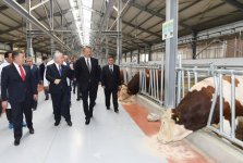 Prezident İlham Əliyev Respublika Süni Mayalanma Mərkəzinin açılışında iştirak edib (FOTO)