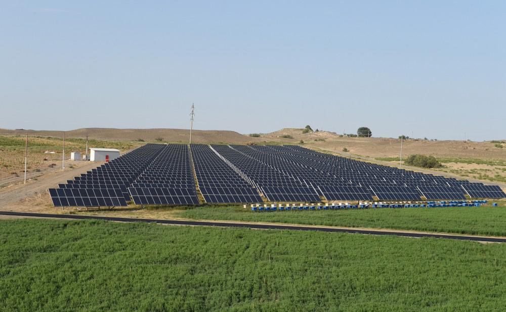 Azərbaycan Prezidenti Samux Aqroenerji Yaşayış Kompleksi ilə tanış olub (FOTO)