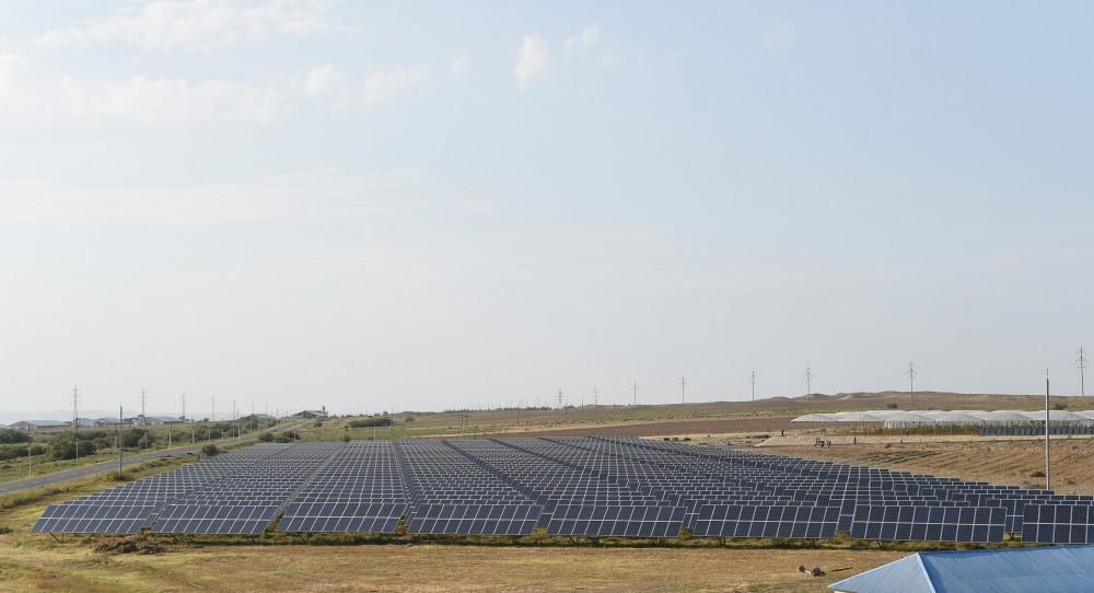 Azərbaycan Prezidenti Samux Aqroenerji Yaşayış Kompleksi ilə tanış olub (FOTO)