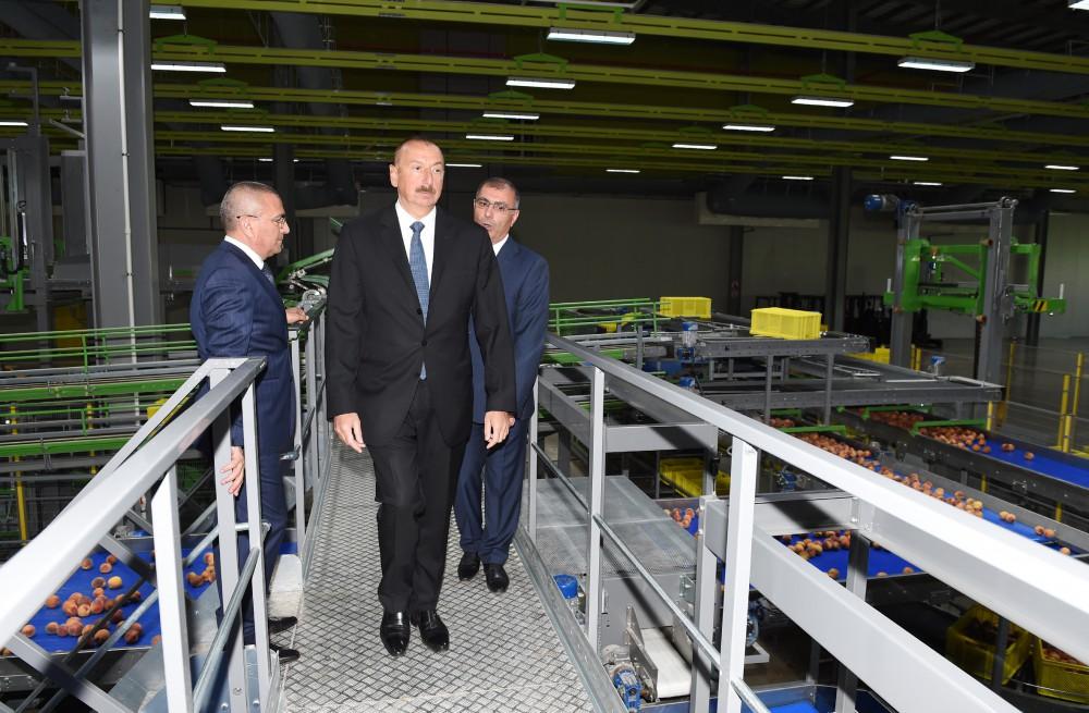 Prezident İlham Əliyev “Şəmkir Aqroparkı”nın Logistika Mərkəzinin açılışında iştirak edib (FOTO)