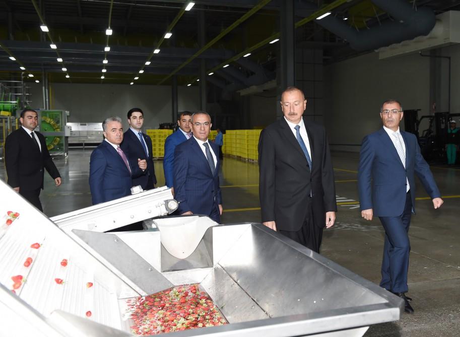 Prezident İlham Əliyev “Şəmkir Aqroparkı”nın Logistika Mərkəzinin açılışında iştirak edib (FOTO)