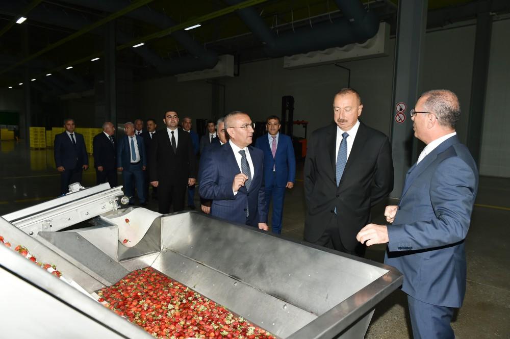 Prezident İlham Əliyev “Şəmkir Aqroparkı”nın Logistika Mərkəzinin açılışında iştirak edib (FOTO)