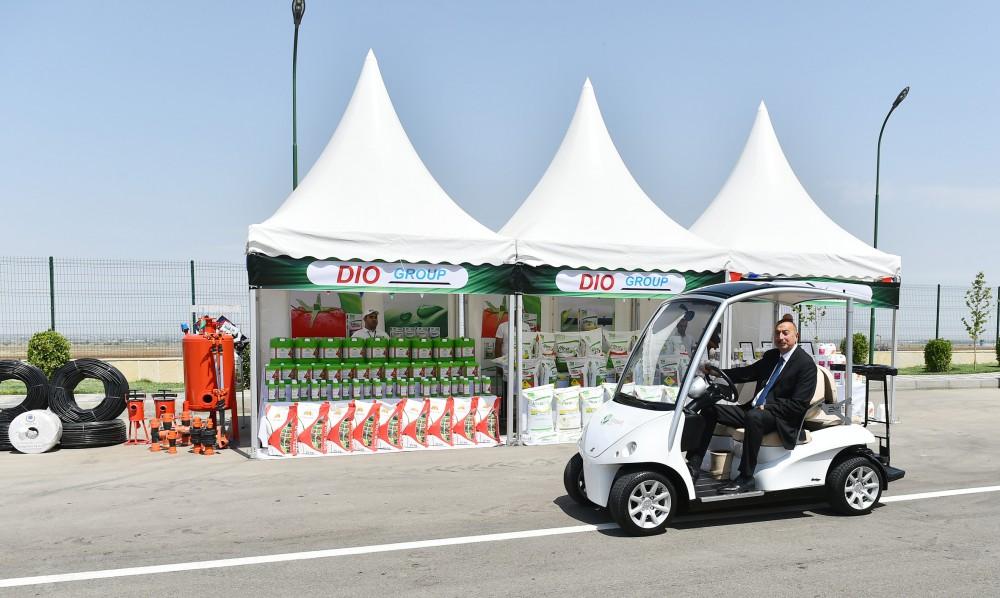 Prezident İlham Əliyev “Şəmkir Aqroparkı”nın Logistika Mərkəzinin açılışında iştirak edib (FOTO)