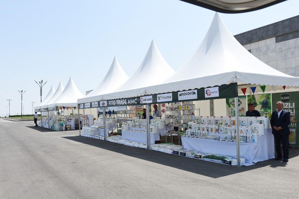Prezident İlham Əliyev “Şəmkir Aqroparkı”nın Logistika Mərkəzinin açılışında iştirak edib (FOTO)