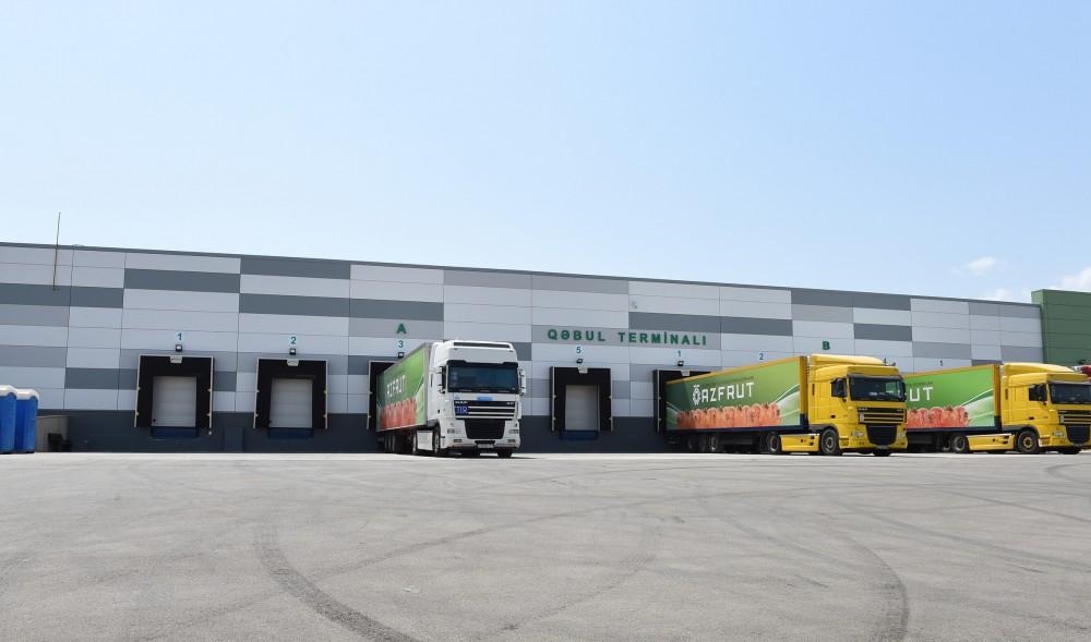 Prezident İlham Əliyev “Şəmkir Aqroparkı”nın Logistika Mərkəzinin açılışında iştirak edib (FOTO)
