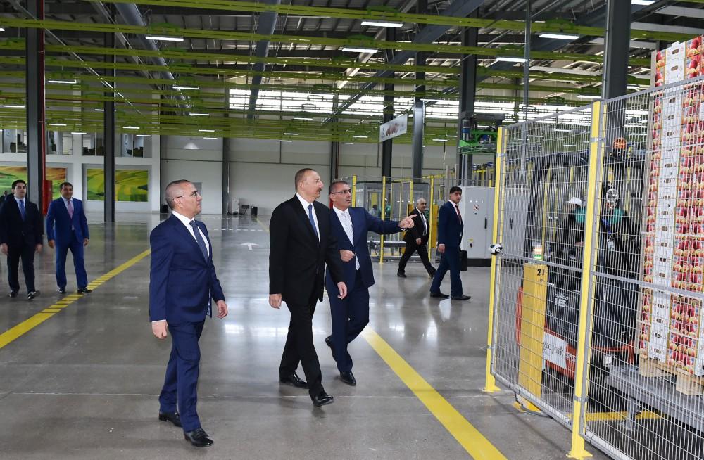 Prezident İlham Əliyev “Şəmkir Aqroparkı”nın Logistika Mərkəzinin açılışında iştirak edib (FOTO)