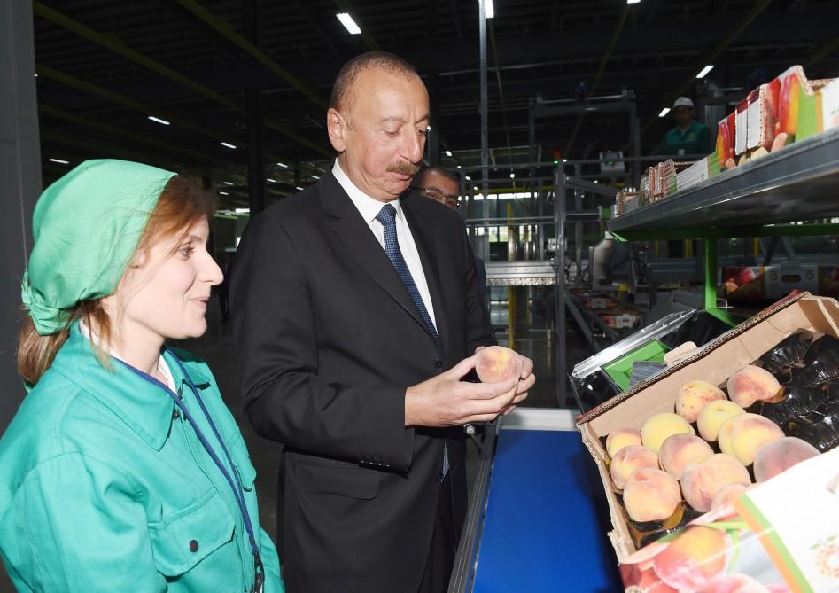 Prezident İlham Əliyev “Şəmkir Aqroparkı”nın Logistika Mərkəzinin açılışında iştirak edib (FOTO)