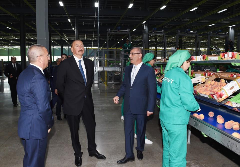 Prezident İlham Əliyev “Şəmkir Aqroparkı”nın Logistika Mərkəzinin açılışında iştirak edib (FOTO)