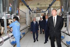 Prezident İlham Əliyev Cəlilabadda “Günəşli-Aqro” MMC-nin aqroparkında yaradılan şəraitlə tanış olub (FOTO)