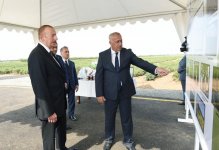 Prezident İlham Əliyev Lənkəranda “Astara Çay” MMC-nin çay plantasiyalarına baxıb (FOTO)