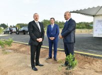 Prezident İlham Əliyev Lənkəranda “Gilan Orchards" MMC tərəfindən salınmış sitrus bağları ilə tanış olub (FOTO)