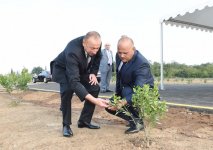 Prezident İlham Əliyev Lənkəranda “Gilan Orchards" MMC tərəfindən salınmış sitrus bağları ilə tanış olub (FOTO)