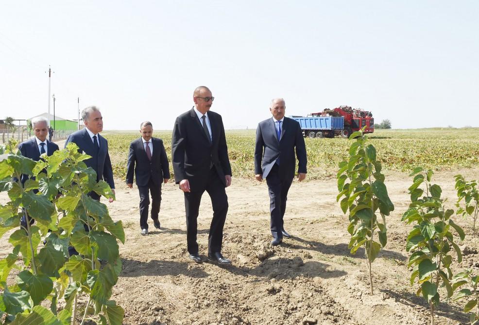 Prezident İlham Əliyev Cəlilabadda “Günəşli-Aqro” MMC-nin aqroparkında yaradılan şəraitlə tanış olub (FOTO)