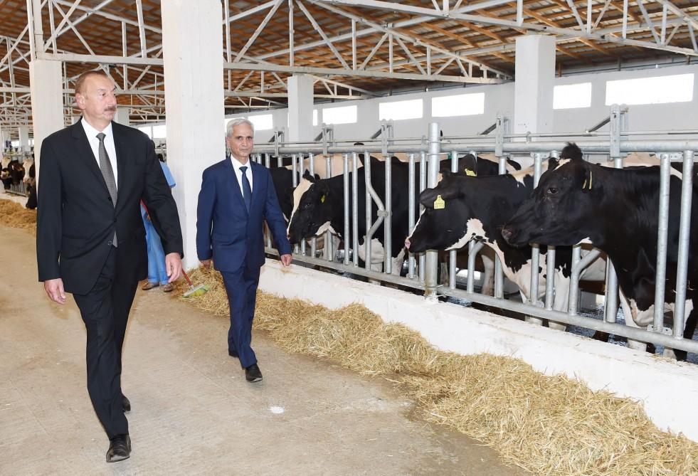 Prezident İlham Əliyev Cəlilabadda “Günəşli-Aqro” MMC-nin aqroparkında yaradılan şəraitlə tanış olub (FOTO)