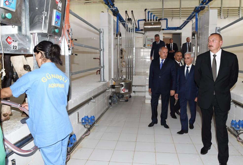 Prezident İlham Əliyev Cəlilabadda “Günəşli-Aqro” MMC-nin aqroparkında yaradılan şəraitlə tanış olub (FOTO)